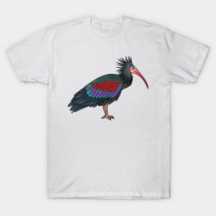 Northern bald ibis bird cartoon illustration T-Shirt